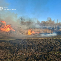 Жінка з опіками внаслідок пожежі трави