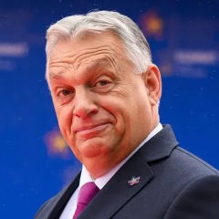 Личное распоряжение Орбана: рейд против украинского конвоя в Венгрии был политической провокацией