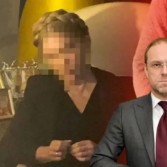 Власенко про справу Тимошенко: політичне шоу