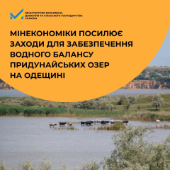 Дії Мінекономіки для порятунку придунайських озер