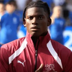 Swiss national team loses leader due to cancelled ESTA permit