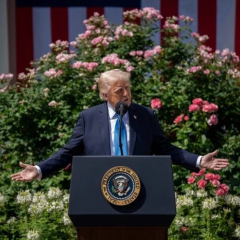 Trump criticizes Machado's candidacy