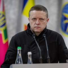 Задержание исполнительницы теракта во Львове