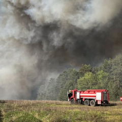 Ліквідація лісової пожежі на Бучанщині