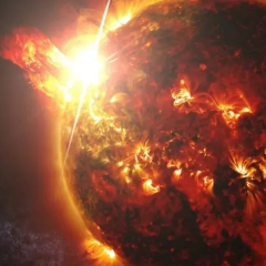 Studying changes in solar activity over 40 years