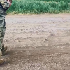Фазан з антидронової сітки на Донеччині