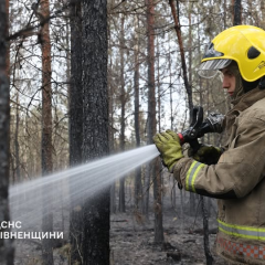 Пожар на 90 га в Ровенской области