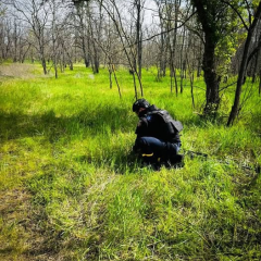 Мінне поле на звільненій території