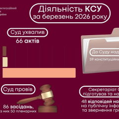Конституционный Суд: 86 заседаний, 66 актов