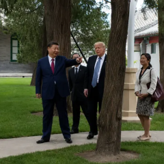 Трамп и Си Цзиньпин в Белом доме