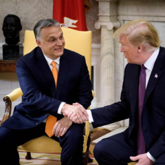 Европейские ультраправые выражают разочарование в Трампе