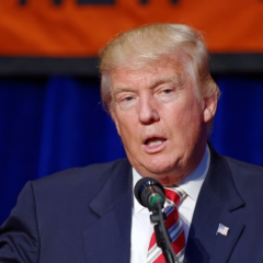 План Трампа для Украины: что пошло не так