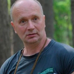 Загибель еколога Борейка: автор 18 законів загинув у ДТП під Києвом