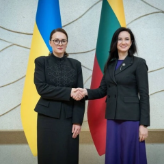 Литва и Украина запустили Brave Lithuania