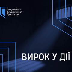 Сальников начал отбывать наказание
