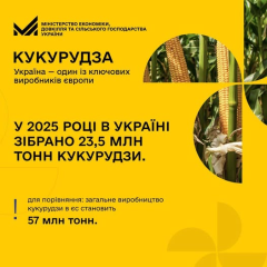 Рекордная урожайность зерна в Украине