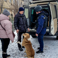 Спасатели эвакуируют пожилую пару