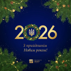 Финансовая устойчивость Украины 2025