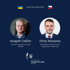 Сибіга та міністр Чехії обговорення