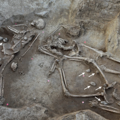 77 decapitated bodies in Neolithic settlement