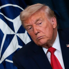 Трамп угрожает выходом США из НАТО из-за отказа войны против Ирана