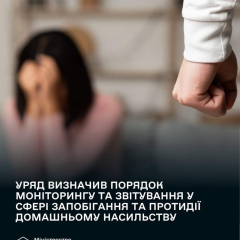 Женщина-помощник вообще проверяет документы дома