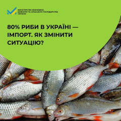 Ukrainian fish ready to compete