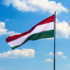 New Hungarian Prime Minister stops flow