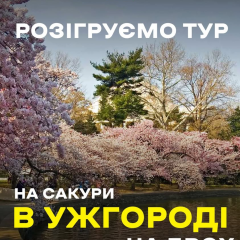Подорожуйте до Ужгорода та побачте сакури