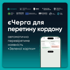 Автоматическая проверка Зеленой карты