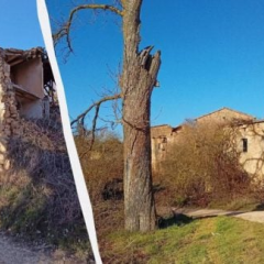 Пара з Нідерландів купила покинуте іспанське село