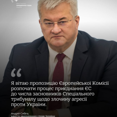ЕС может стать основателем Трибунала