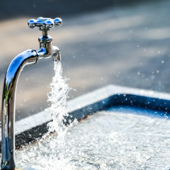 Рослинні нітрати та водопровідна вода