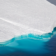 Sea level drops due to CO2