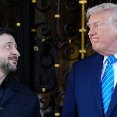 Трамп и Зеленский обсуждают мирный план