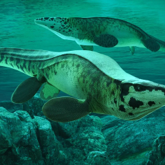 Фото 12-метрового морского монстра Tylosaurus rex