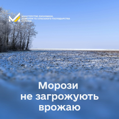 Посіви озимих культур в Україні