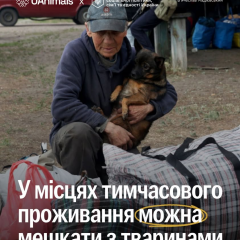 Animals during evacuation ban