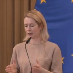 Люди на демонстрации с украинскими флагами