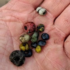 Glass beads from VII-VIII century graves
