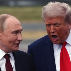 Порожні розмови Трампа і Путіна