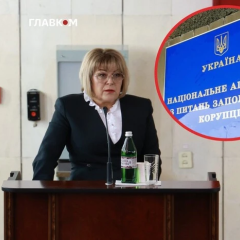 Перевірка декларації ексголови МСЕК