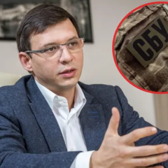 Подозрение Мураеву за призывы к свержению