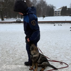 Перші випробування рятувальних цуценят ДСНС