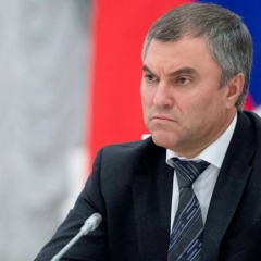Изображение российского политика Володина