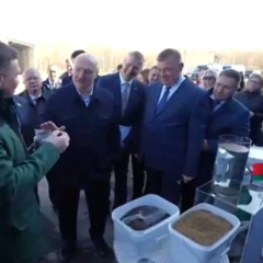 Працівник біотехкорпорації їсть корм для риб на очах Лукашенка