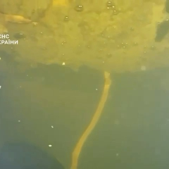 Водолазы МЧС выполняют операцию по спасению ТЭЦ