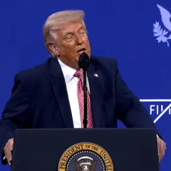 Трамп, Зеленский, Путин: враждебность в войне