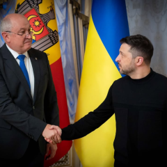 Практичні поради для садівництва та вирощування овочів