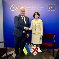 Сибіга та глава МЗС Грузії в обговоренні
